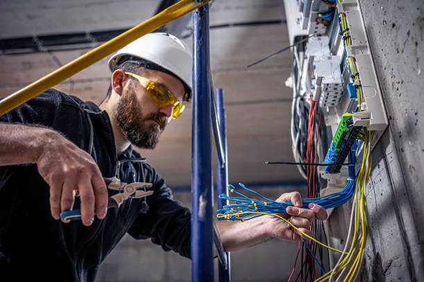 Best Electric Panel Repair  in Lake View, AL